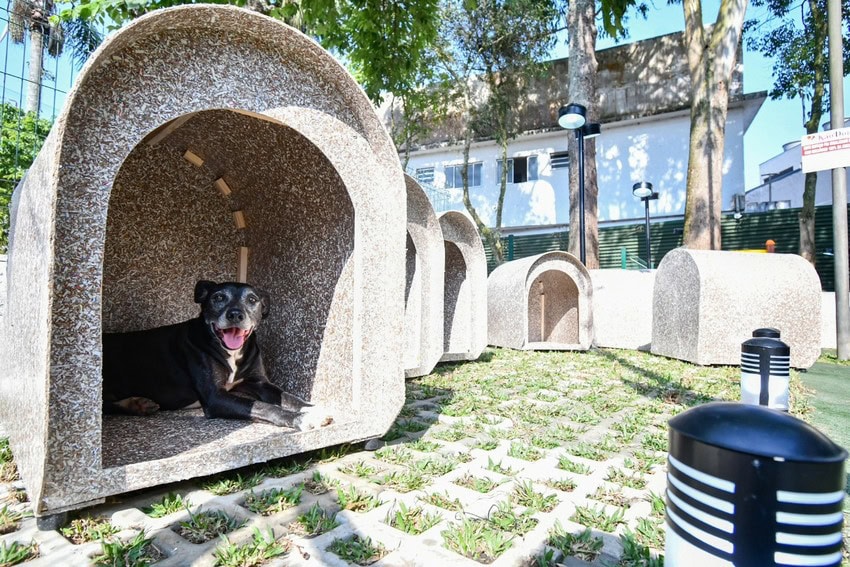 espaço Pet