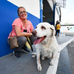 hospital veterinário