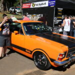 Bosque do Povo terá encontro de carros antigos no domingo