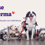 Love que Transforma: nasce a primeira plataforma de inclusão e visibilidade de pets PCDs, desenvolvida pela Petlove