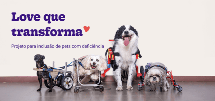 Love que Transforma: nasce a primeira plataforma de inclusão e visibilidade de pets PCDs, desenvolvida pela Petlove