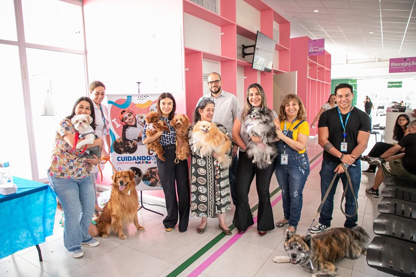 Projeto Cuidando com Patas - pets