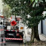 carro da enel