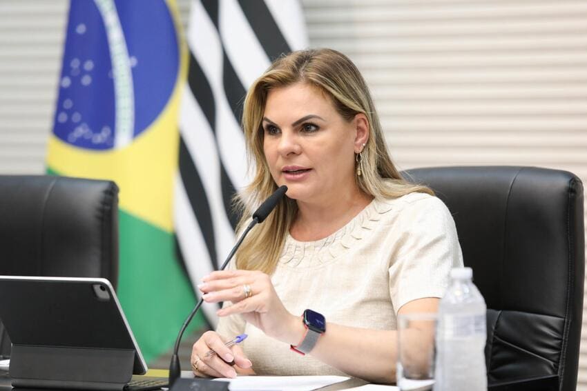 Deputada Carla Morando cobra da União, TCU e Aneel providências para acabar com a má prestação de serviços da Enel no estado de SP