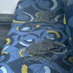 Ônibus colide com bandeiras e quebra janela na Av. Faria Lima
