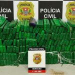 apreensão de drogas
