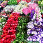 Mercado de Flores da Craisa é opção de compras para o Dia de Finados