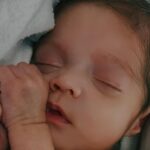 João Miguel