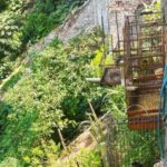 CM Ambiental de São Bernardo Resgata 61 aves no Areião; multa totaliza R$ 117 mil