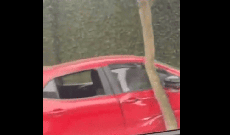 carro no muro