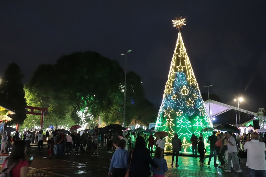 Natal mágico - árvore de natal
