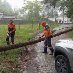 Defesa Civil de Ribeirão Pires atende 80 ocorrências após chuva de sexta-feira