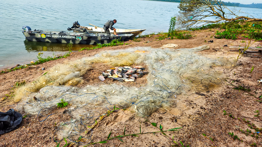 Guarda Ambiental de São Bernardo intensifica fiscalização na Billings e apreende redes de pesca ilegais