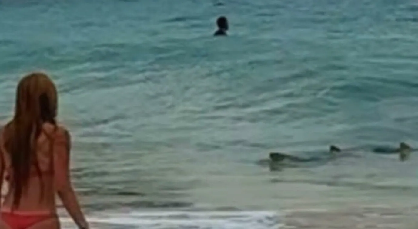 Jovem encontra tubarão ao tentar mergulhar em Fernando de Noronha