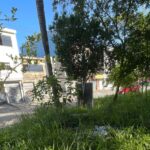 limpeza de praça
