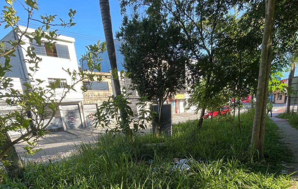 limpeza de praça