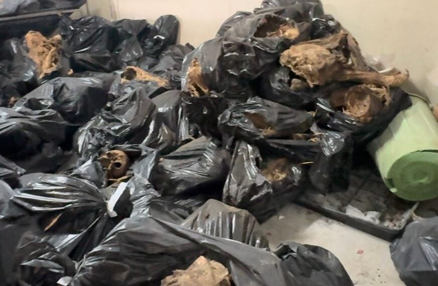 Ossadas amontoadas em sacos de lixo, gavetas mortuárias danificadas e com cadáveres expostos, caixões largados no tempo e amontoados nos cantos