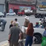 resgate de cobra em São Bernardo