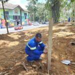 Ribeirão Pires inicia instalação de deck no Parque Luiz Carlos Grecco