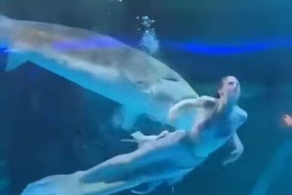 Nas imagens, a jovem aparece nadando no tanque vestida com uma cauda de peixe e um biquíni, quando um esturjão se aproxima