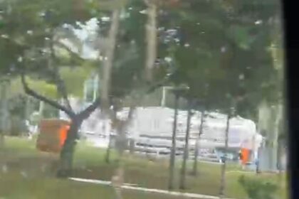 roda gigante na área verde