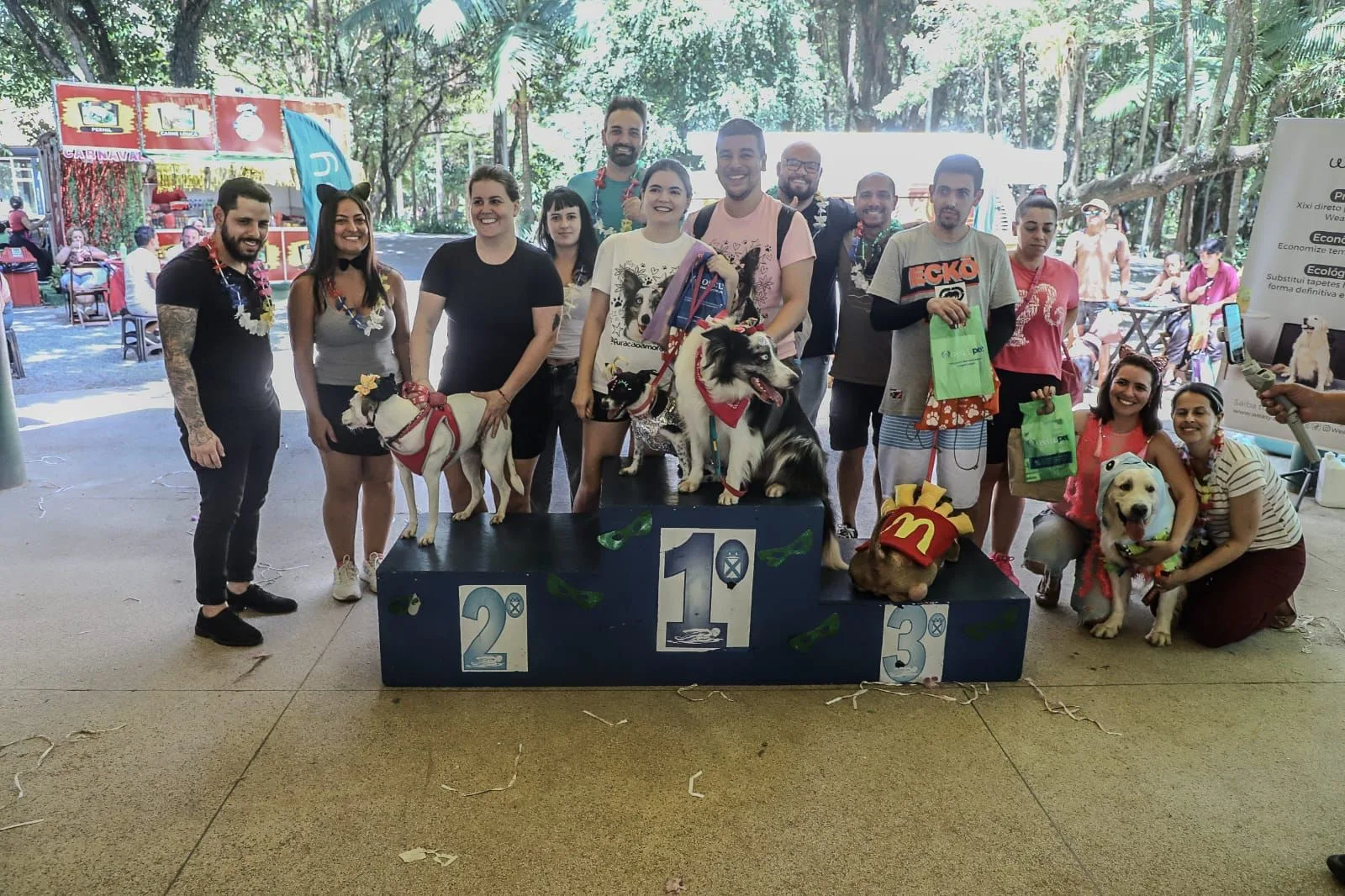 pets fantasiados no carnaval