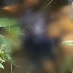 Corpo é encontrado em córrego em Ribeirão Pires