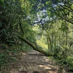 Sexta-feira movimentada em Ribeirão Pires com entrega de circuito de caminhada no Parque Oriental, ação solidária e futebol amador
