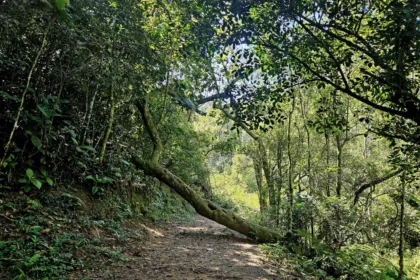 Sexta-feira movimentada em Ribeirão Pires com entrega de circuito de caminhada no Parque Oriental, ação solidária e futebol amador
