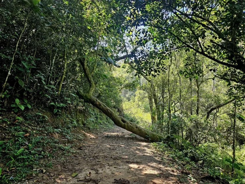 Sexta-feira movimentada em Ribeirão Pires com entrega de circuito de caminhada no Parque Oriental, ação solidária e futebol amador