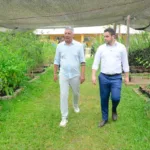 Viveiro Municipal de Santo André cultiva vegetação plantada em áreas verdes da cidade