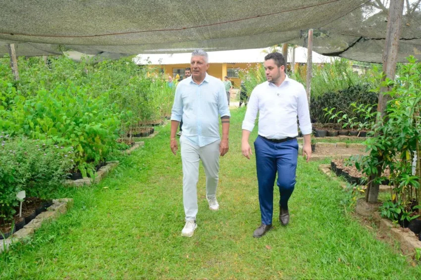 Viveiro Municipal de Santo André cultiva vegetação plantada em áreas verdes da cidade