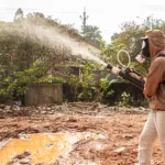 Agentes visitam 157 casas e fiscalizam denúncias no Dia D de combate à dengue em São Caetano