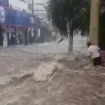 Chuvas no ABCD causaram alagamentos, queda de árvores e deslizamento