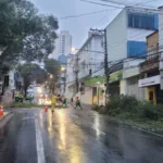 Defesa Civil de São Bernardo interdita rua para corte preventivo de galhos