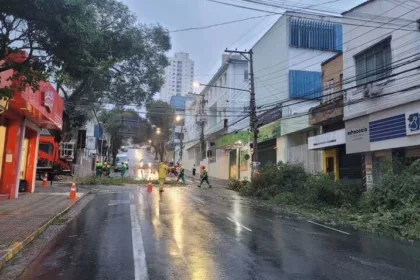 Defesa Civil de São Bernardo interdita rua para corte preventivo de galhos