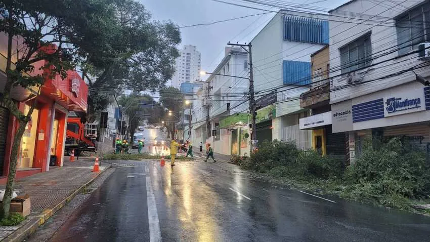 Defesa Civil de São Bernardo interdita rua para corte preventivo de galhos