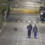 GCM prende dois por furto em estabelecimento comercial no Centro de São Caetano