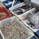 Craisa oferece diversidade de pescados para consumo na Semana Santa
