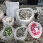 GCM de Diadema realiza maior apreensão de drogas do ano, com 6.677 porções apreendidas
