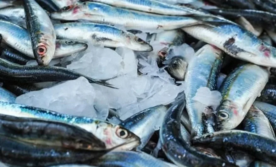 peixes