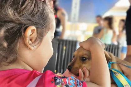 Feira de Adoção de Cães e Gatos acontece neste sábado