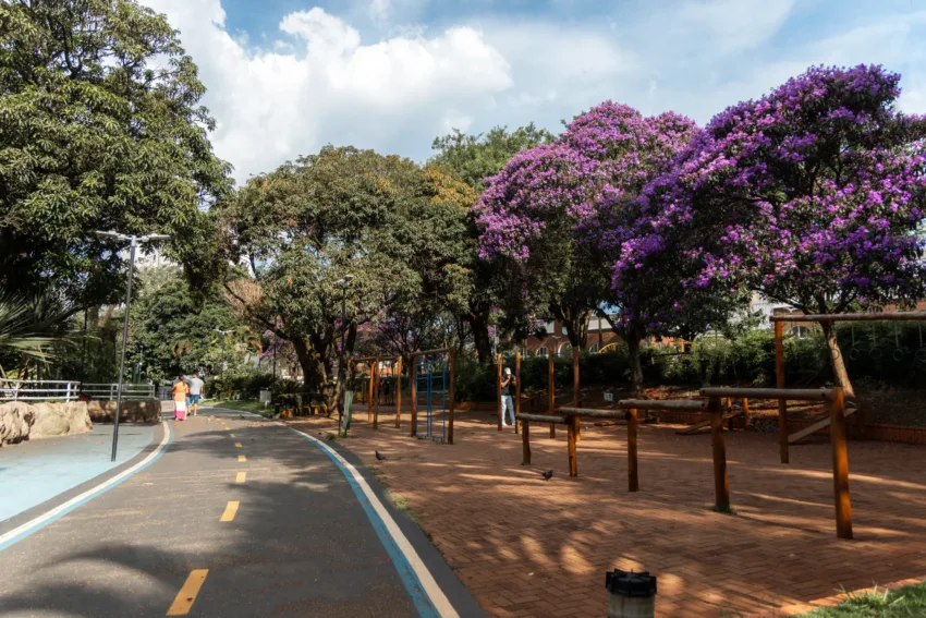 Festival do Cambuci de São Bernardo celebra tradição, sustentabilidade e sabores únicos da Mata Atlântica