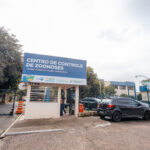 Feira de adoção de pets estimula acolhimento em São Bernardo neste sábado