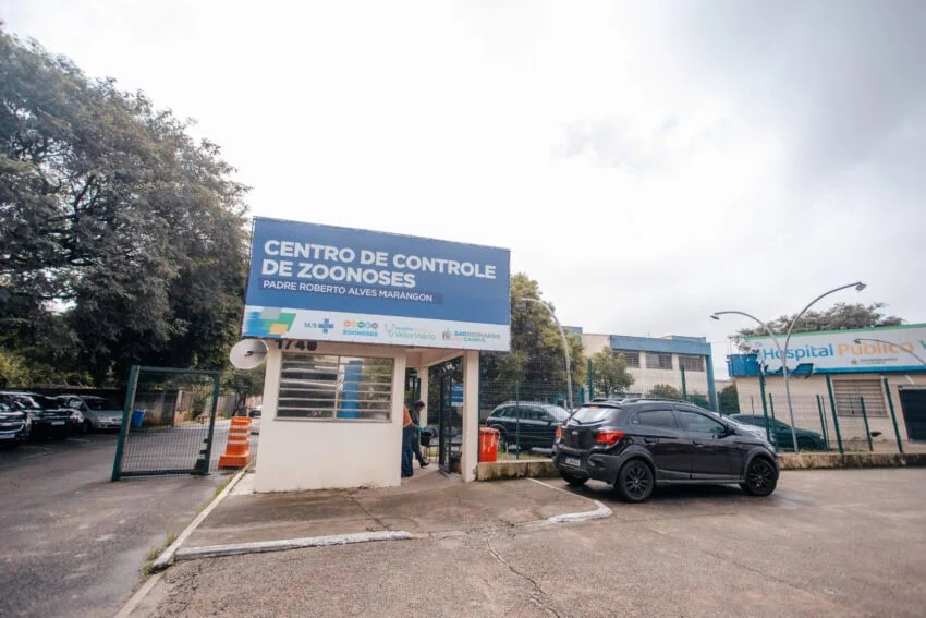 Feira de adoção de pets estimula acolhimento em São Bernardo neste sábado