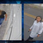Trabalho conjunto entre moradores, CONSEG SBC 2, Polícia Civil e a imprensa local resultou na prisão de duas mulheres que deram golpe