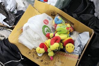 Durante as buscas, várias pelúcias foram apreendidas nas residências dos suspeitos