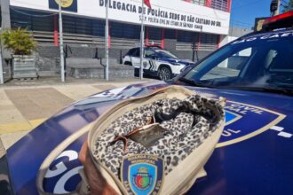 GCM de São Caetano prende homem por furto no Centro