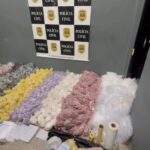 Mais de 56 mil porções de drogas são apreendidas em Diadema