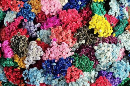 Mercado de Flores da Craisa é opção para compra do Dia das Mães